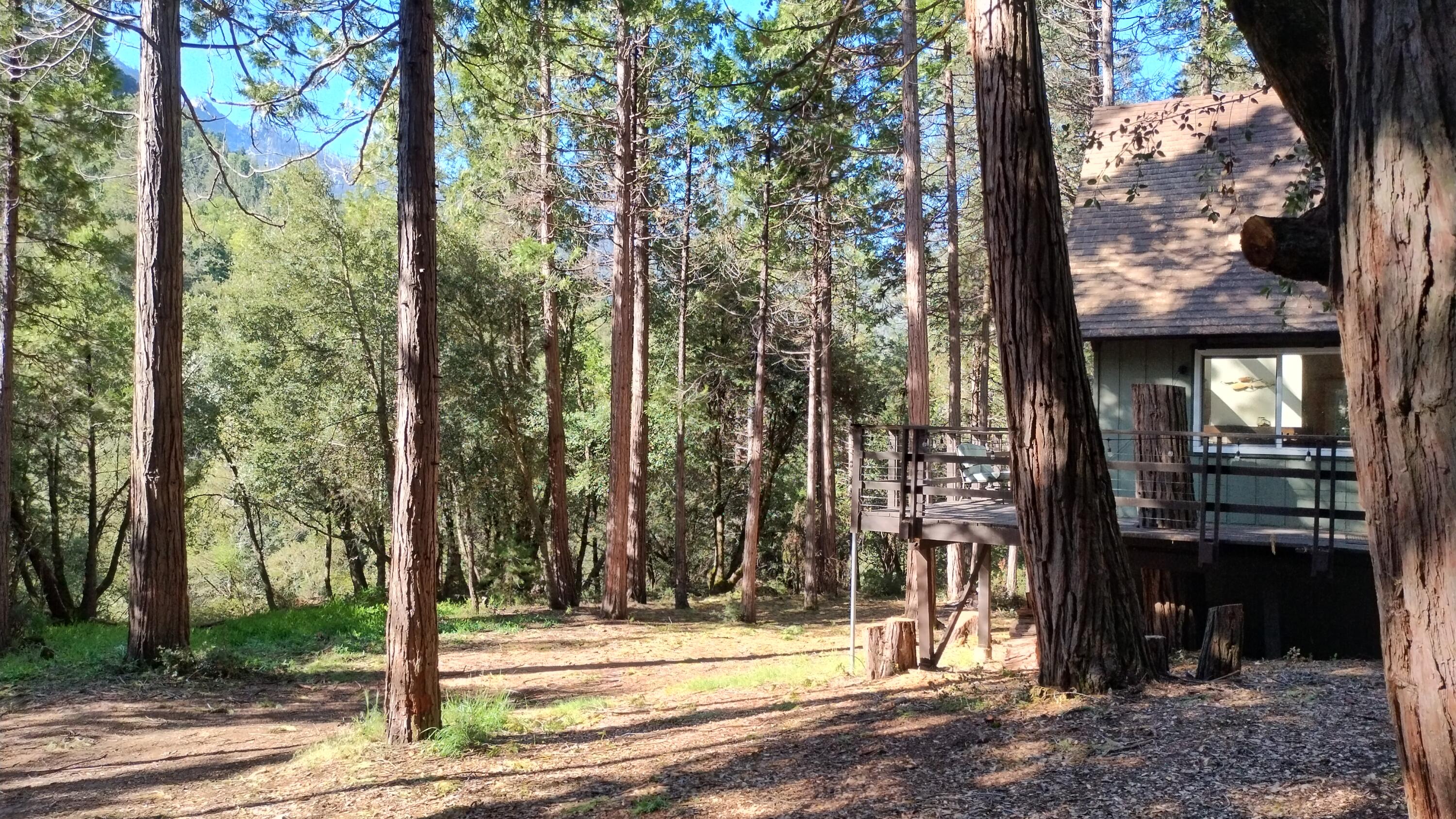 1693 Forest Rte 21S94 Camp Nelson, CA 93265 - Photo 71 of 86 a view of a park that has large trees
