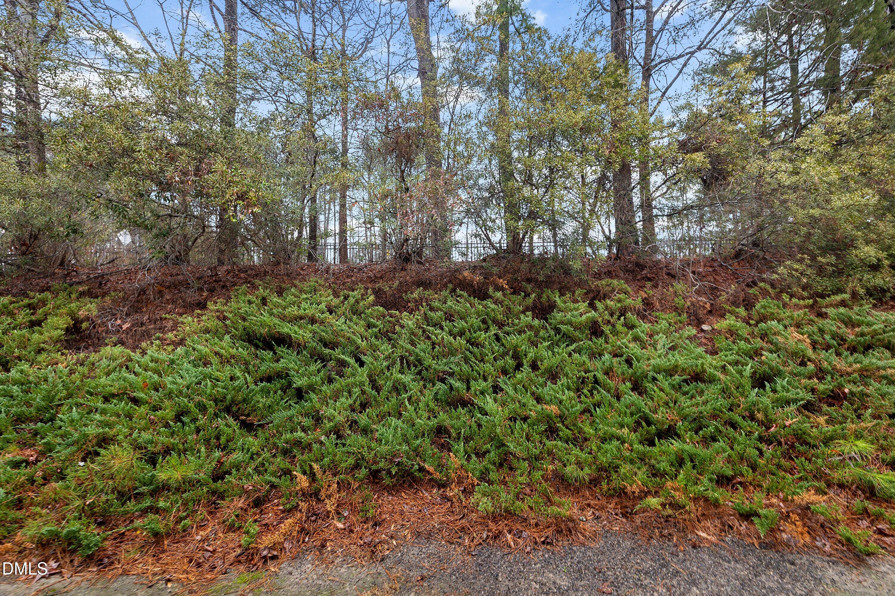 8005 Satillo Lane Raleigh, NC 27616 - Photo 44 of 49 43-8005 Satillo Ln_0318