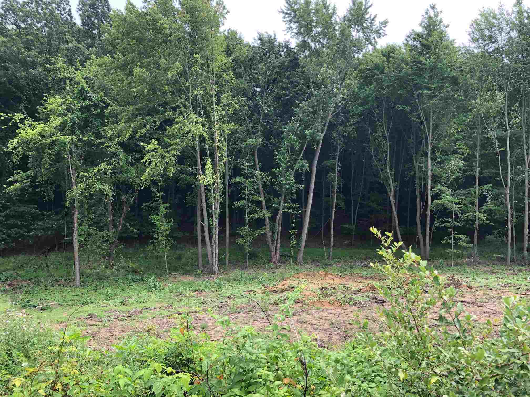 50890 Summit Ridge Trail South Bend, IN 46628 - Photo 1 of 17