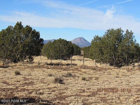 0 Raging Crab Road Ash Fork, AZ 86320 - Photo 1 of 1 Trees