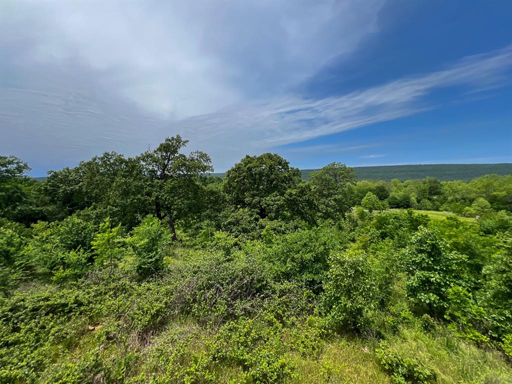 0 North 4220 Road Clayton, OK 74536 - Photo 1 of 13