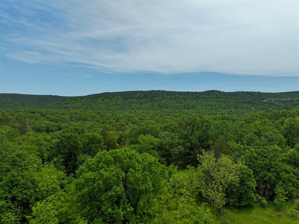 0 North 4220 Road Clayton, OK 74536 - Photo 11 of 13
