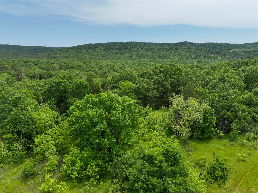 0 North 4220 Road Clayton, OK 74536 - Photo 12 of 13