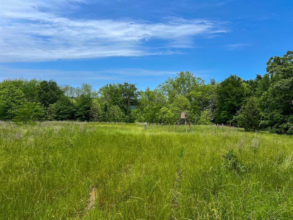 0 North 4220 Road Clayton, OK 74536 - Photo 2 of 13