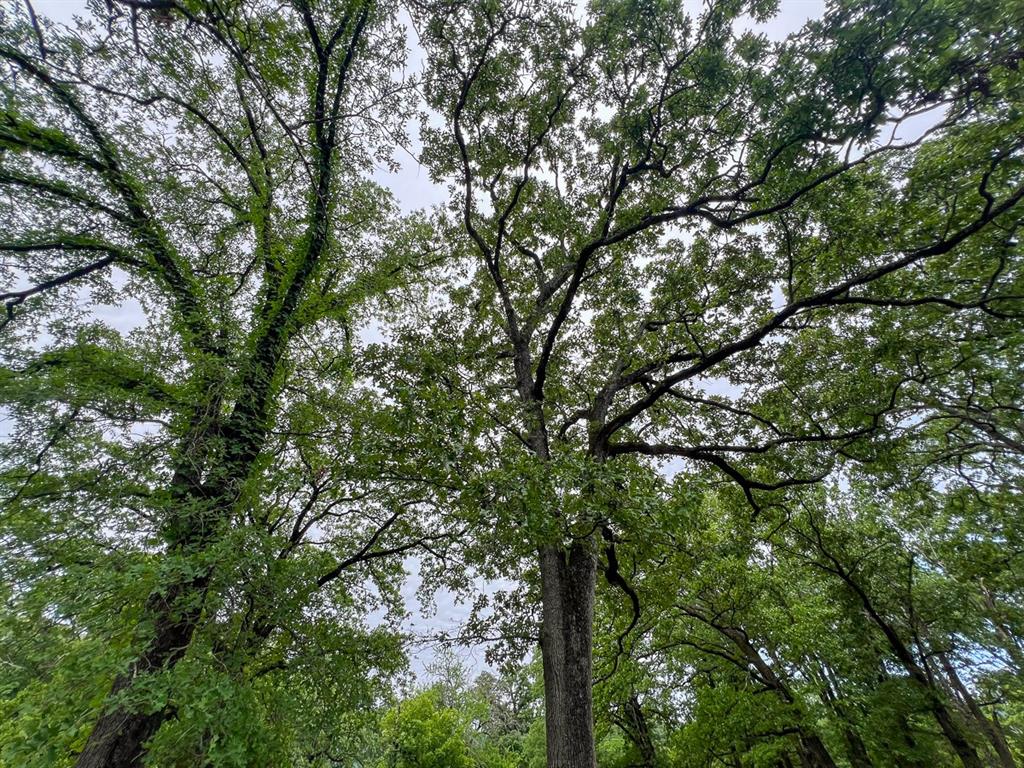 0 North 4220 Road Clayton, OK 74536 - Photo 5 of 13