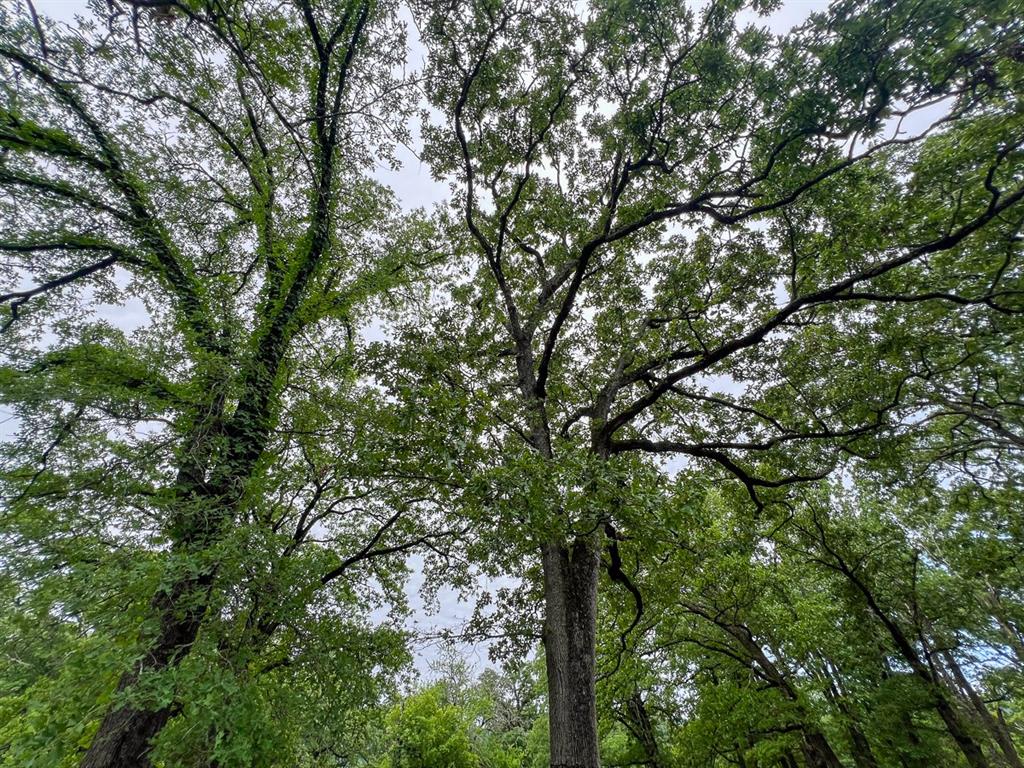 0 North 4220 Road Clayton, OK 74536 - Photo 6 of 13