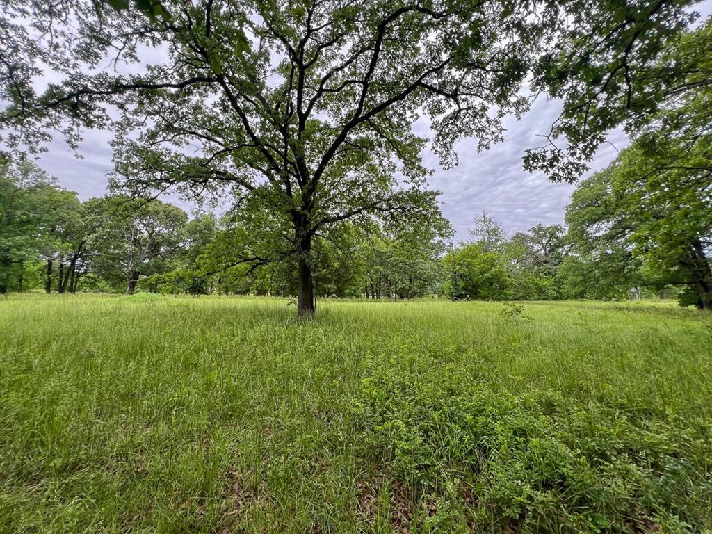 0 North 4220 Road Clayton, OK 74536 - Photo 7 of 13