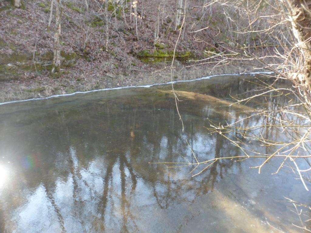 7649 Hatton Road Frankfort, KY 40601 - Photo 35 of 39 Photo 35