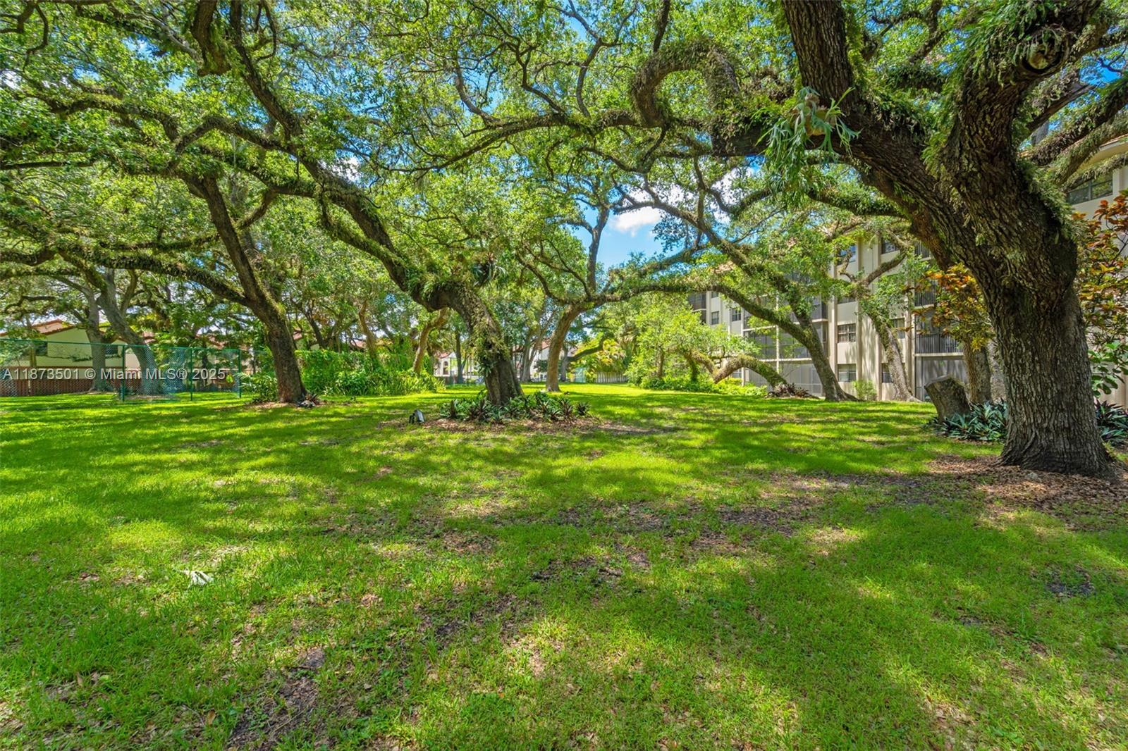 451 Ives Dairy Road, Unit 1031 Miami, FL 33179 - Photo 22 of 29 a view of a park with large trees