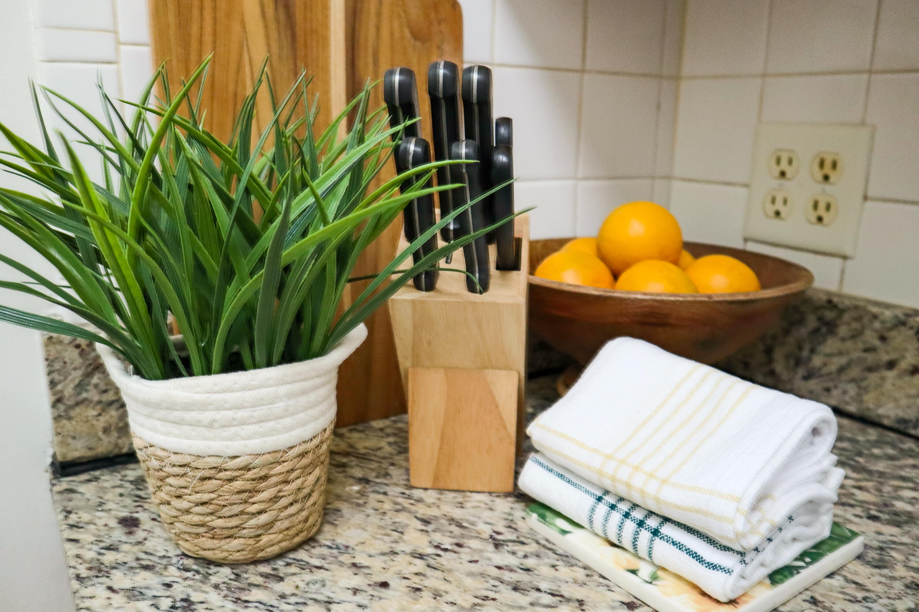 172 North County Road Palm Beach, FL 33480 - Photo 44 of 49 IMG_0723