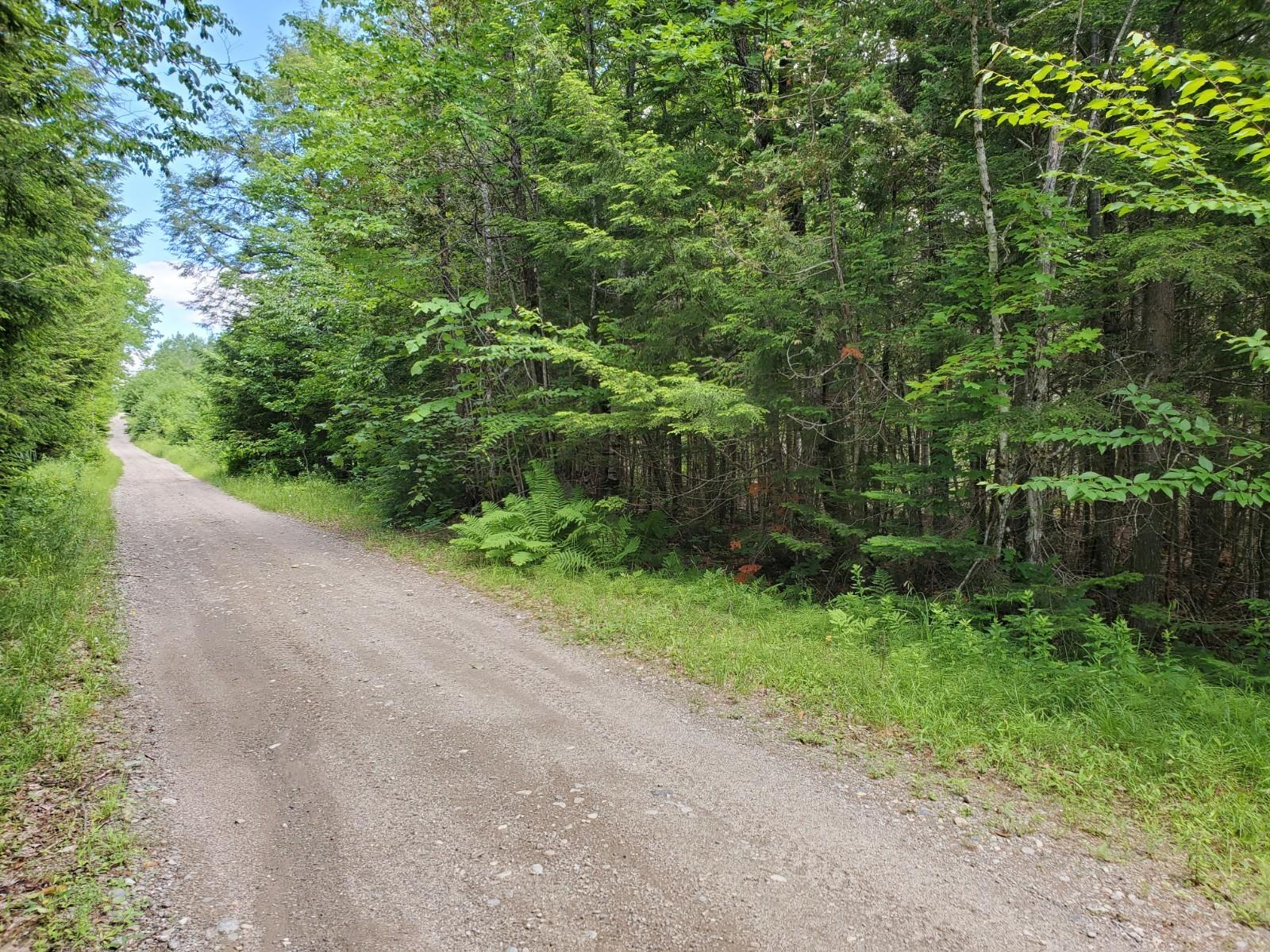 0 Ames Road Lee, ME 04487 - Photo 3 of 4 20210623_122018
