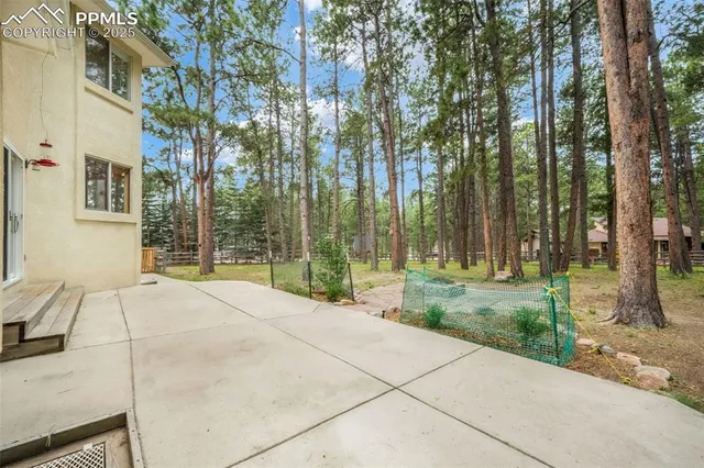 a large white house with a large tree in front of it