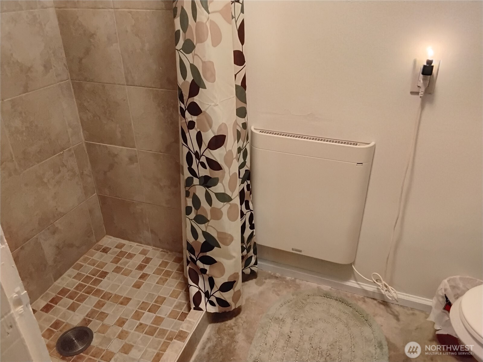 30 River Loop Road Tonasket, WA 98855 - Photo 34 of 37 a bathroom with a shower and a sink