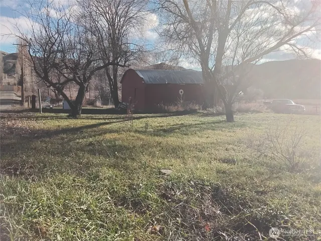 a big yard with large trees