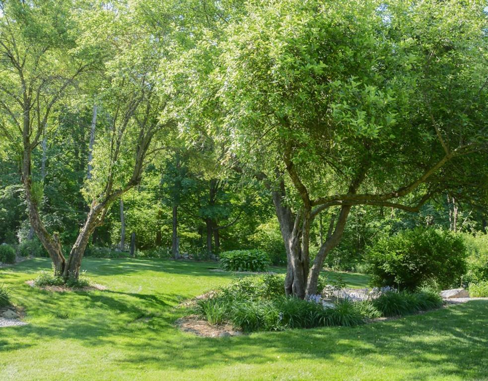 445 Main Street Acton, MA 01720 - Photo 5 of 42