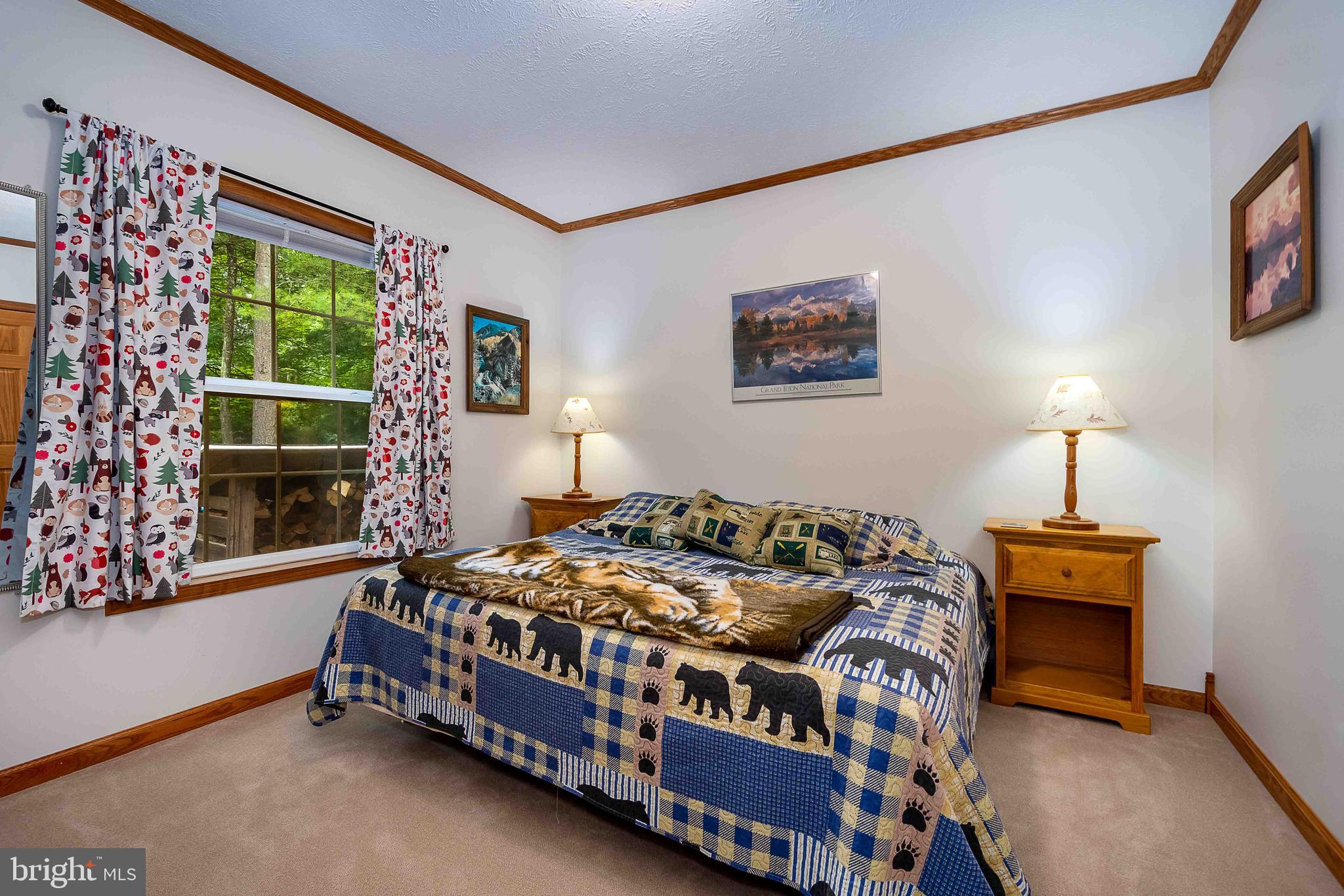 37 Skippers Point Road Oakland, MD 21550 - Photo 26 of 49