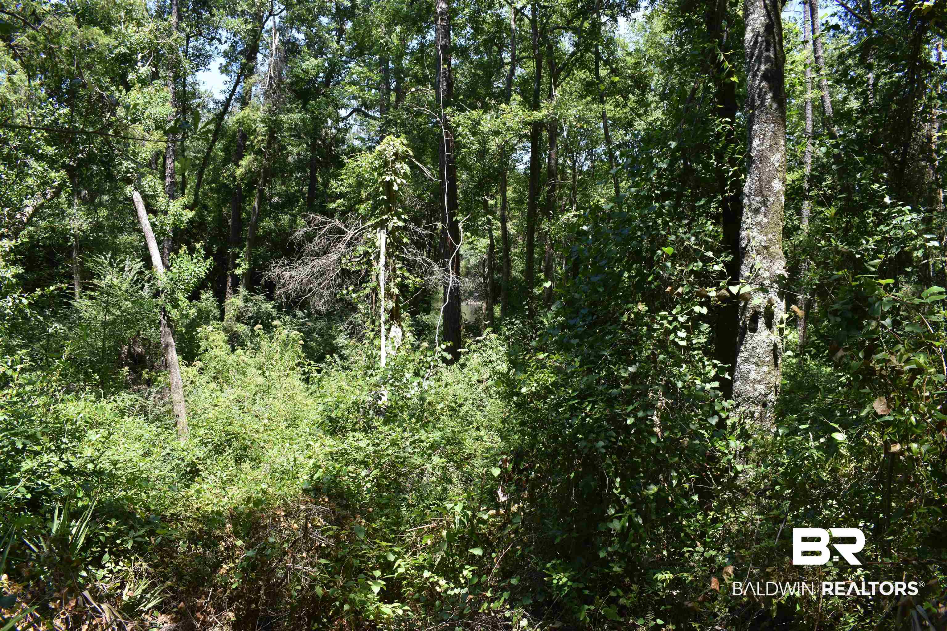 17655 River Road Summerdale, AL 36580 - Photo 13 of 17