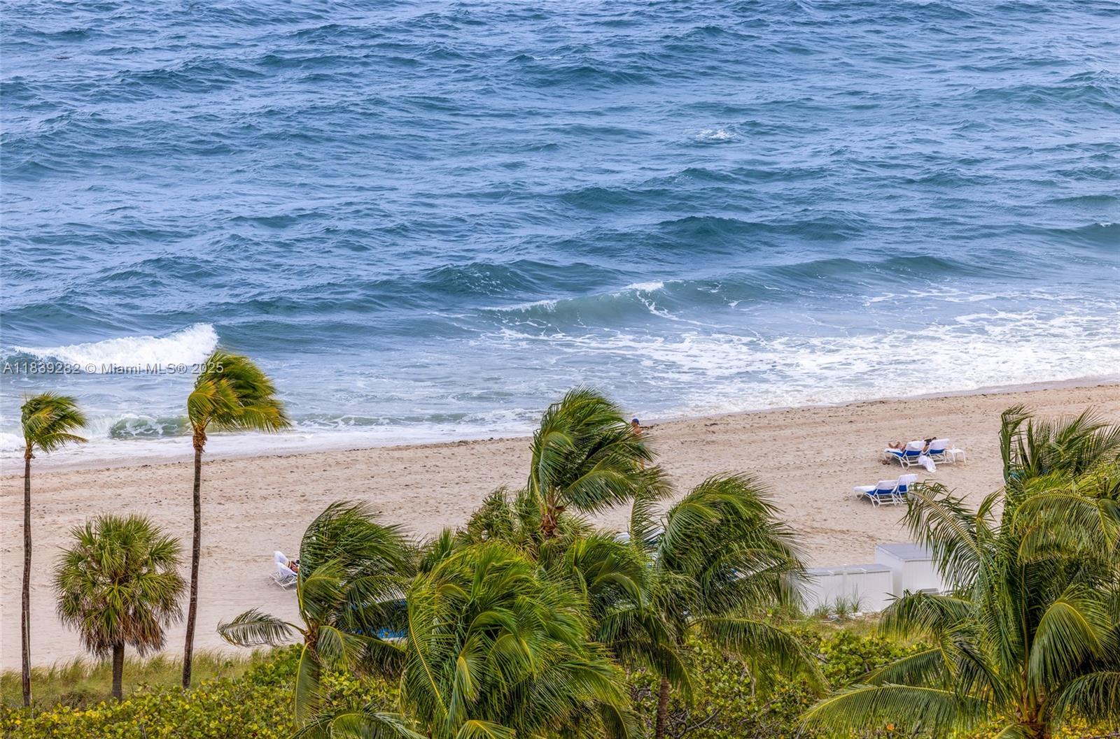 9801 Collins Avenue, Unit 16U Bal Harbour, FL 33154 - Photo 32 of 33 a view of a garden