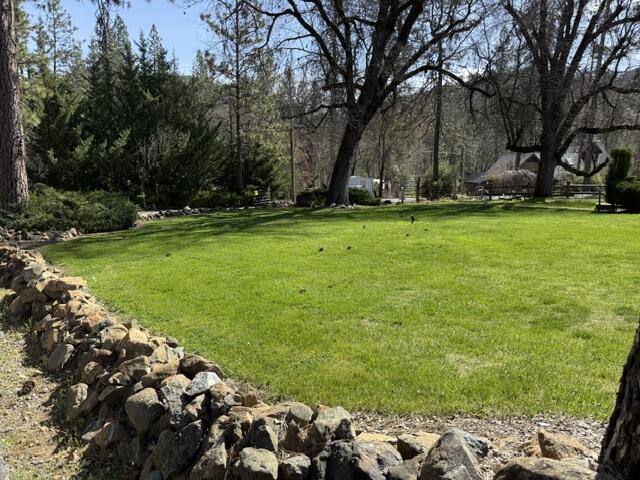 121 Wellock Road Lewiston, CA 96052 - Photo 23 of 56 IMG_4232