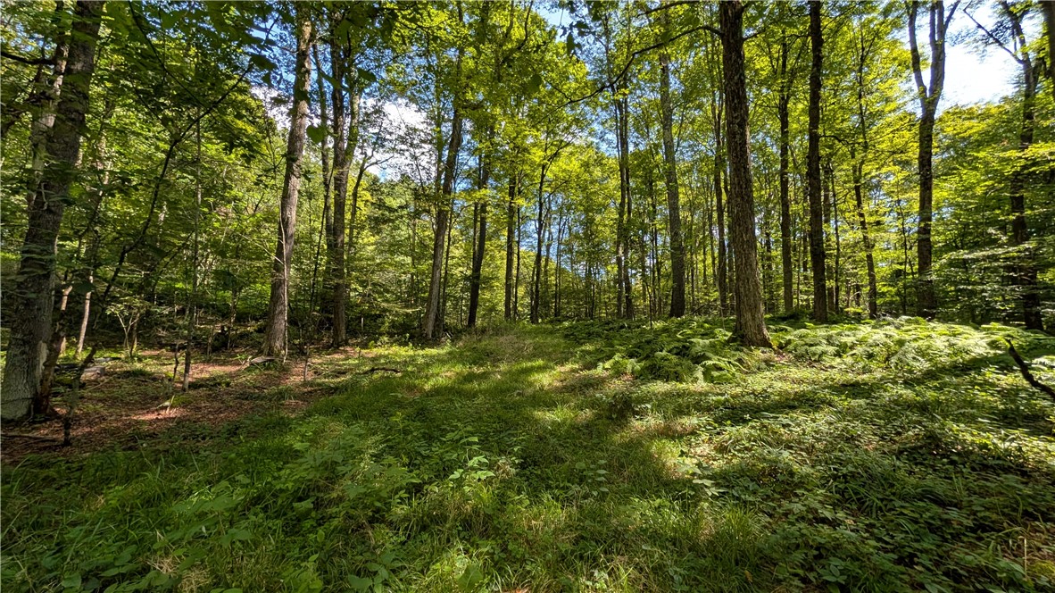 1245 Quaker Hill Road Jefferson, NY 12093 - Photo 12 of 41 Gallery Image 12