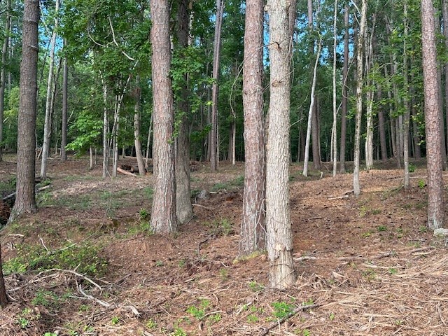 Lot 1 Rabbit Run Johnston, SC 29832 - Photo 8 of 8 Gallery Image 8