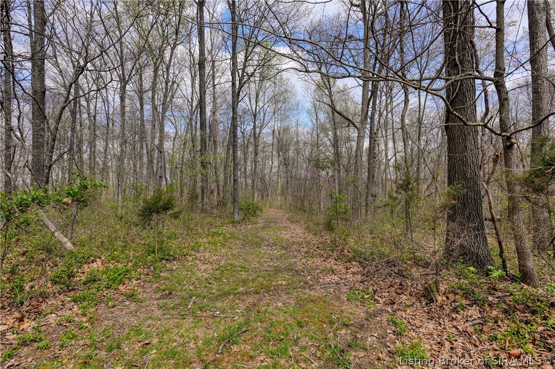 14903 Gum Corner Road Otisco, IN 47163 - Photo 54 of 60