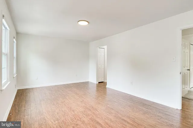a view of a backyard with plants and large trees