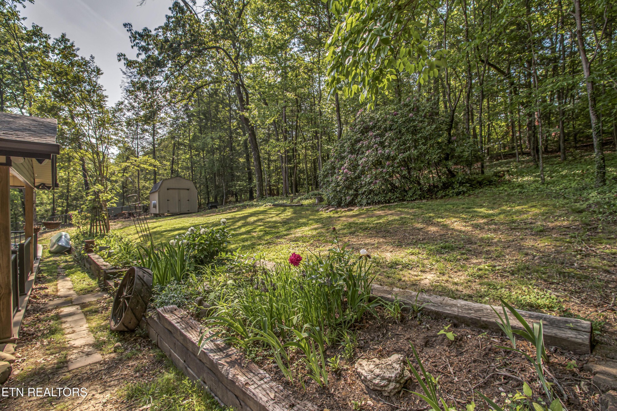 116 Mohawk Road Oak Ridge, TN 37830 - Photo 52 of 60 a view of a yard with plants