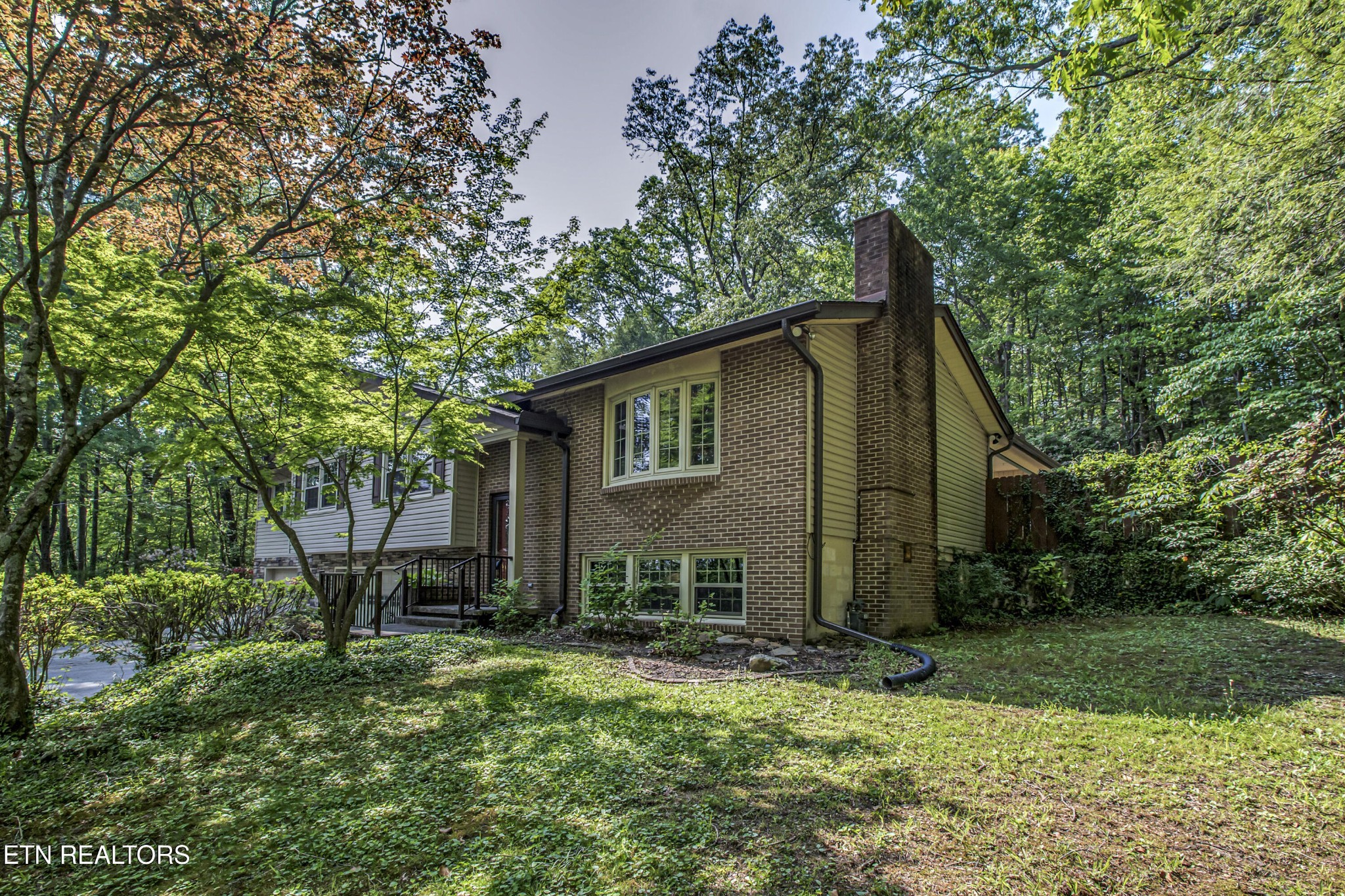 116 Mohawk Road Oak Ridge, TN 37830 - Photo 59 of 60 front view of house with a big yard