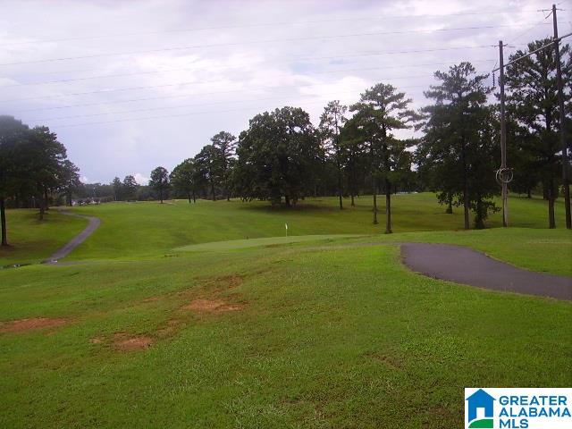 1668 Quail Ridge Drive Gardendale, AL 35071 - Photo 6 of 33