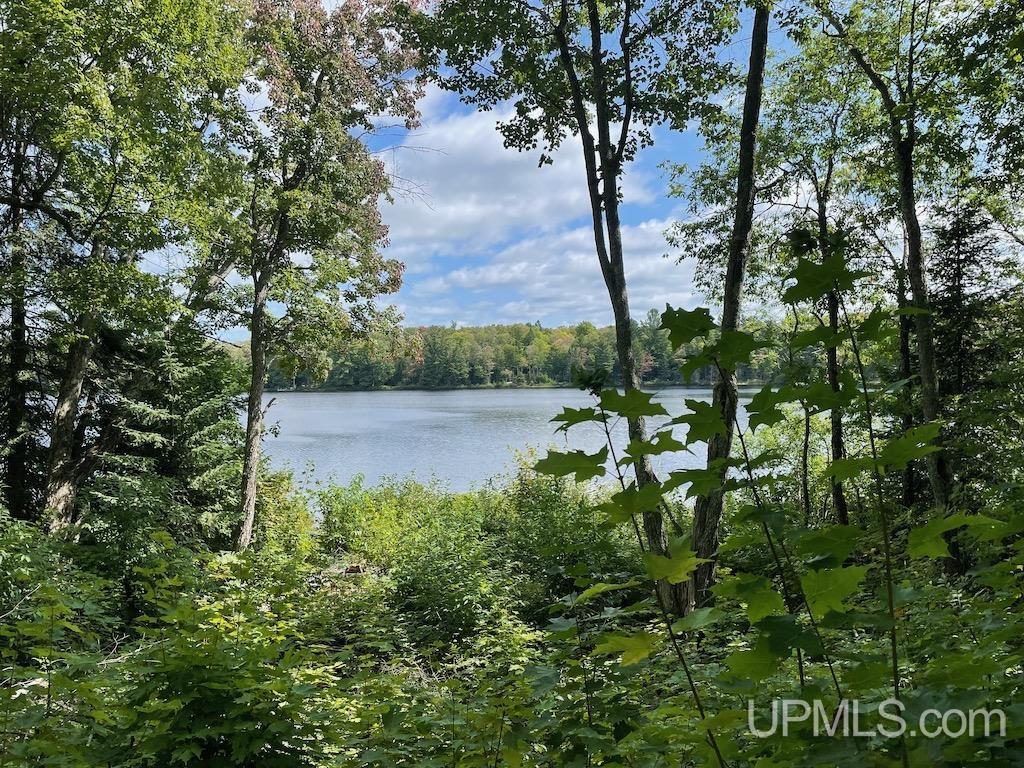 47-13 Carpenter Lake Road Seney, MI 49883 - Photo 12 of 18