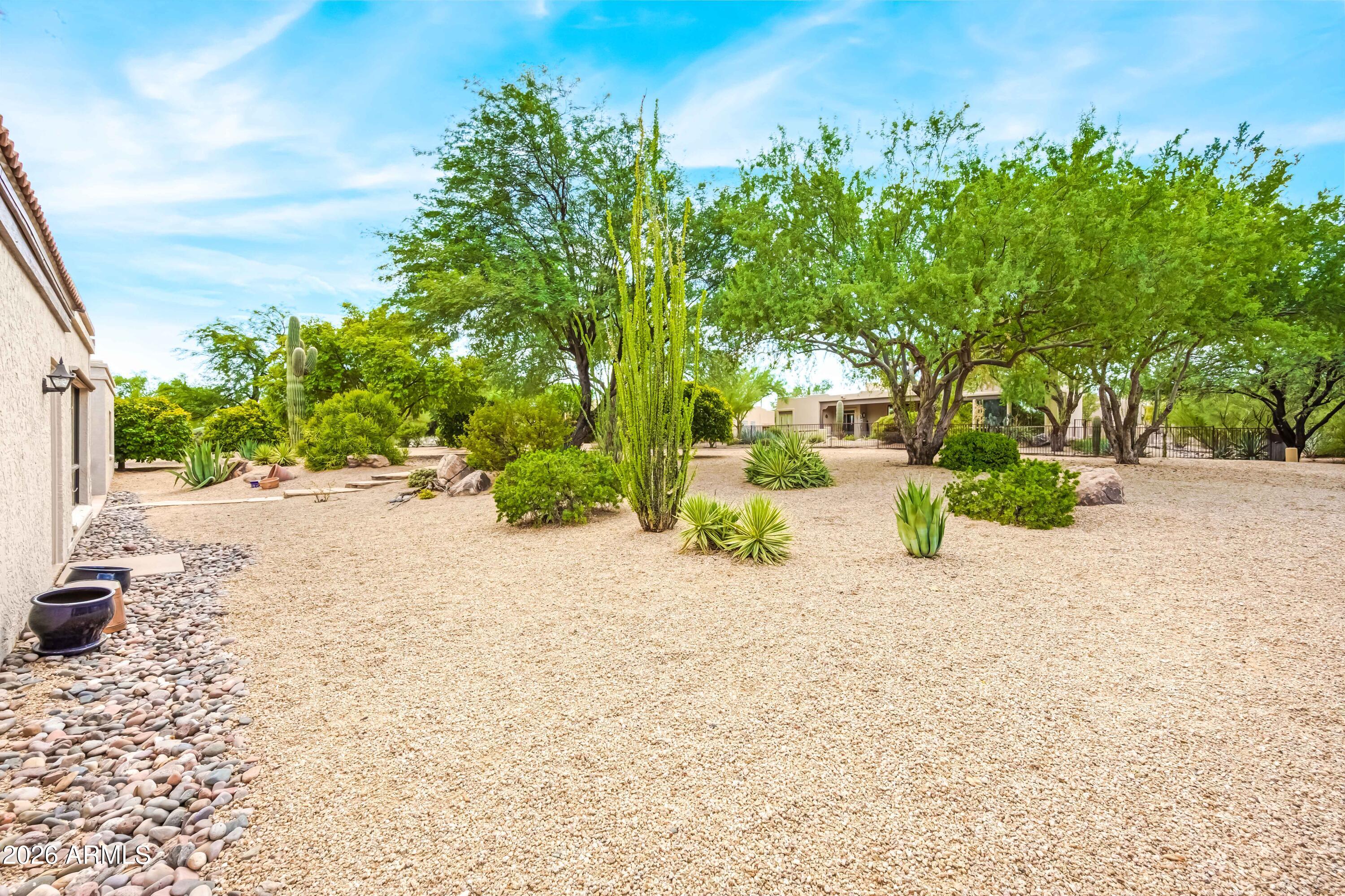 26628 North Avenida Del Ray Rio Verde, AZ 85263 - Photo 41 of 54 Back Yard