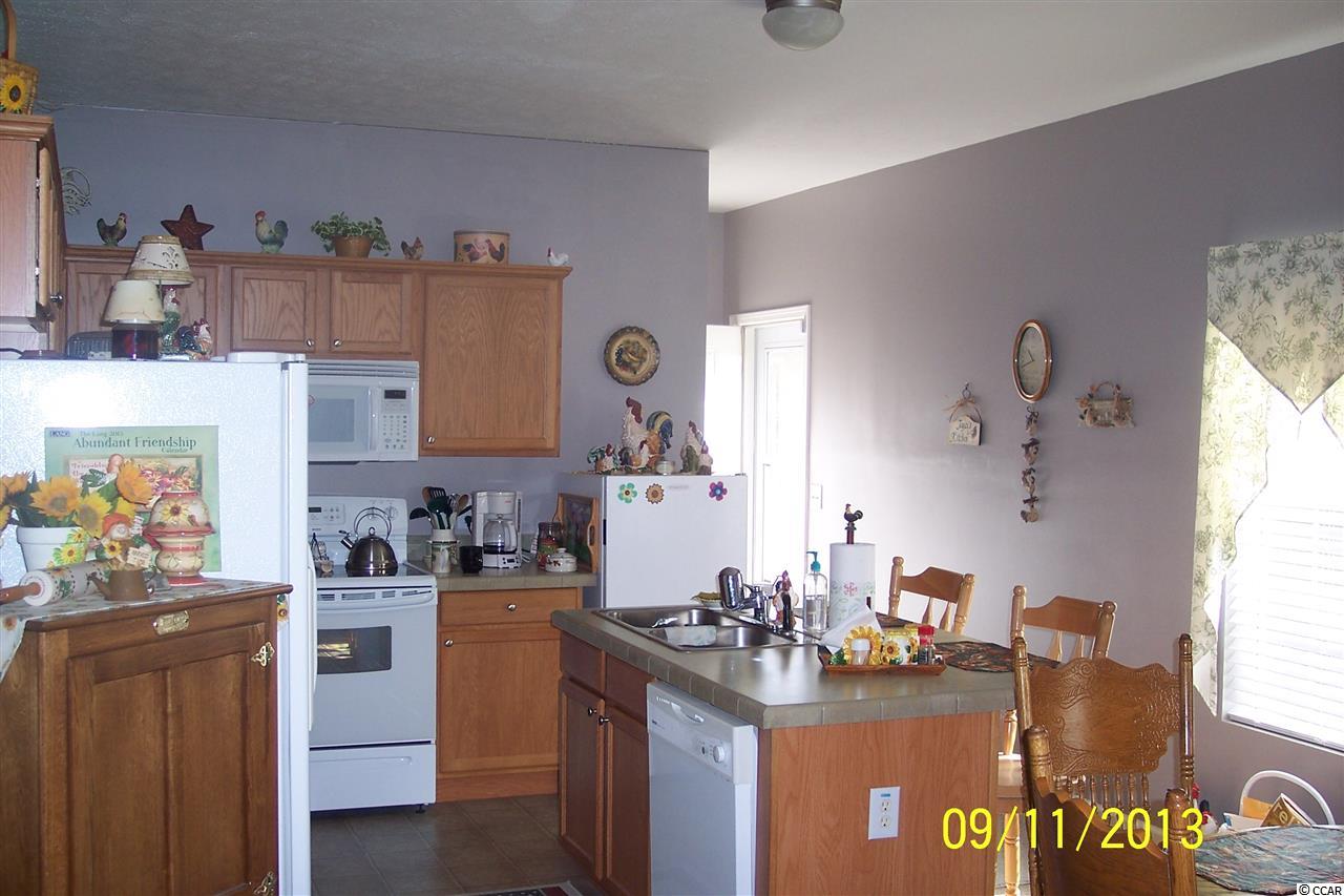 463 Hallie Martin Road Conway, SC 29527 - Photo 7 of 10 Gallery Image 7