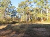 2292 Holly Springs Road Rockmart, GA 30153 - Photo 4 of 21