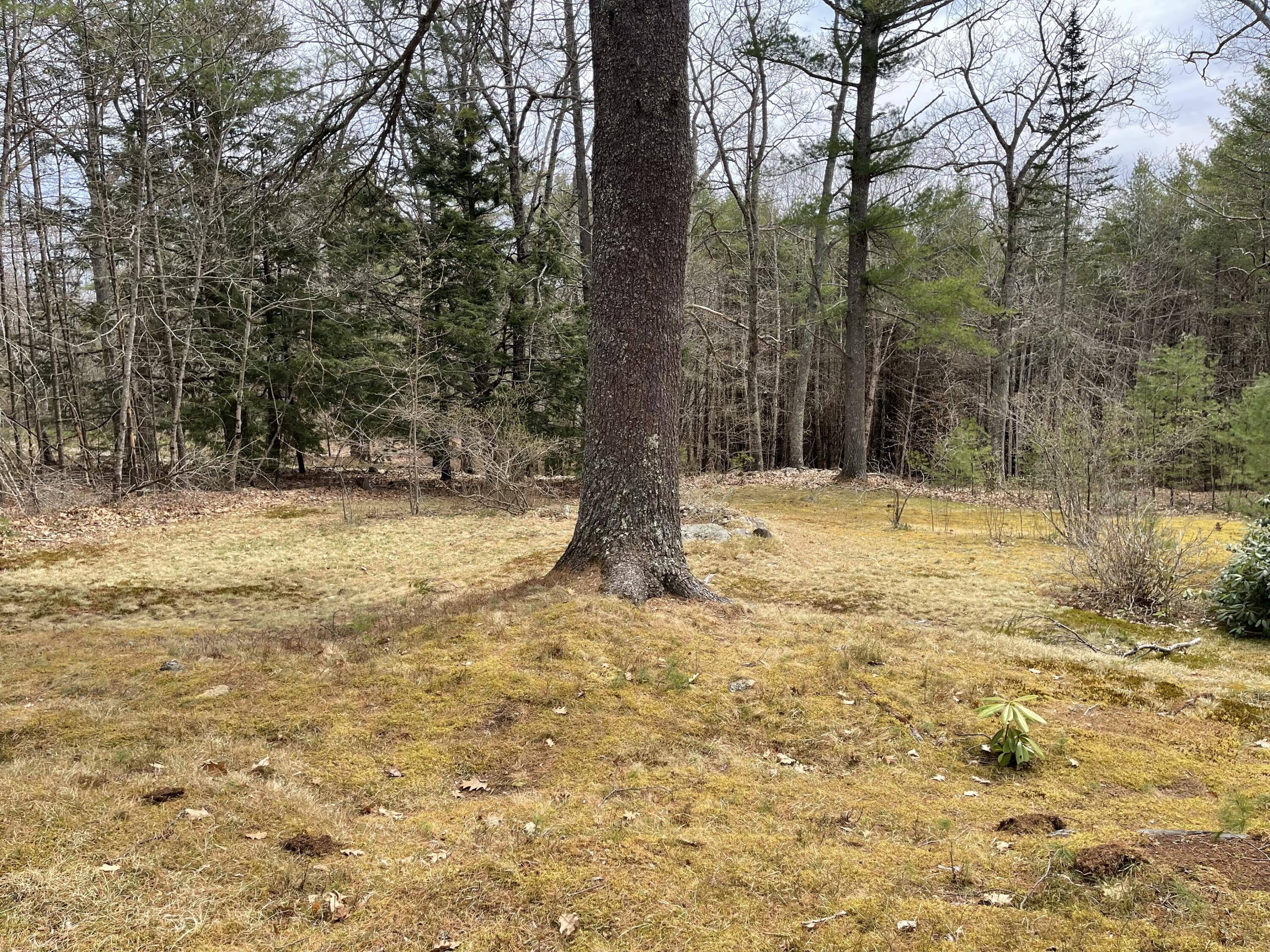 446 Sennett Road Jefferson, ME 04348 - Photo 22 of 32 IMG-5541