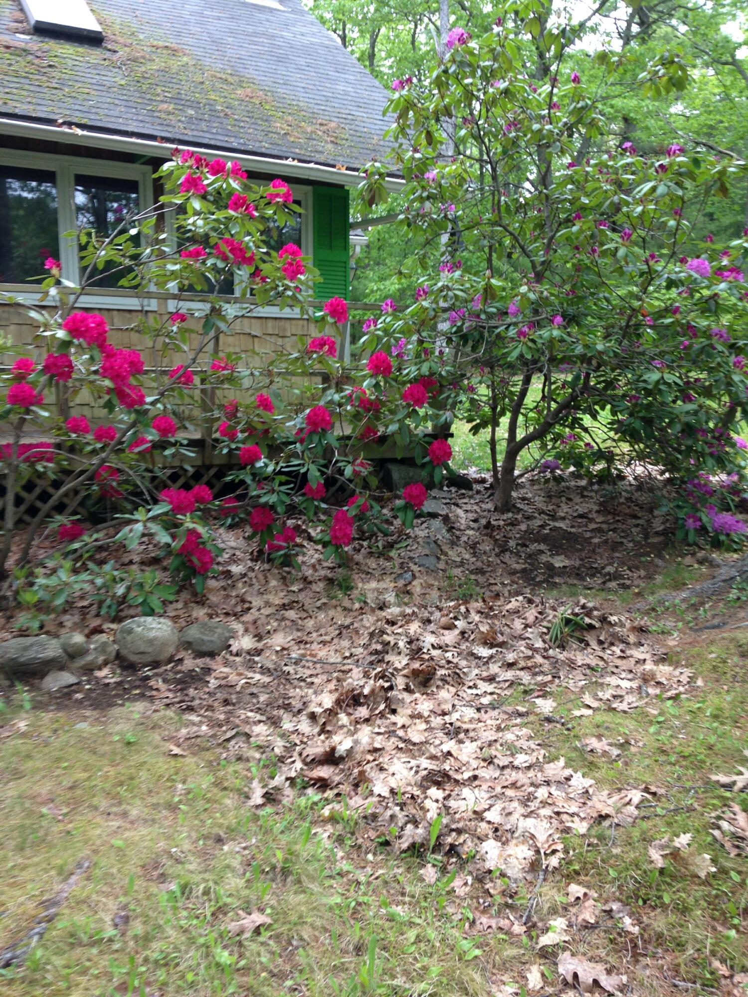 446 Sennett Road Jefferson, ME 04348 - Photo 3 of 32 IMG_0155