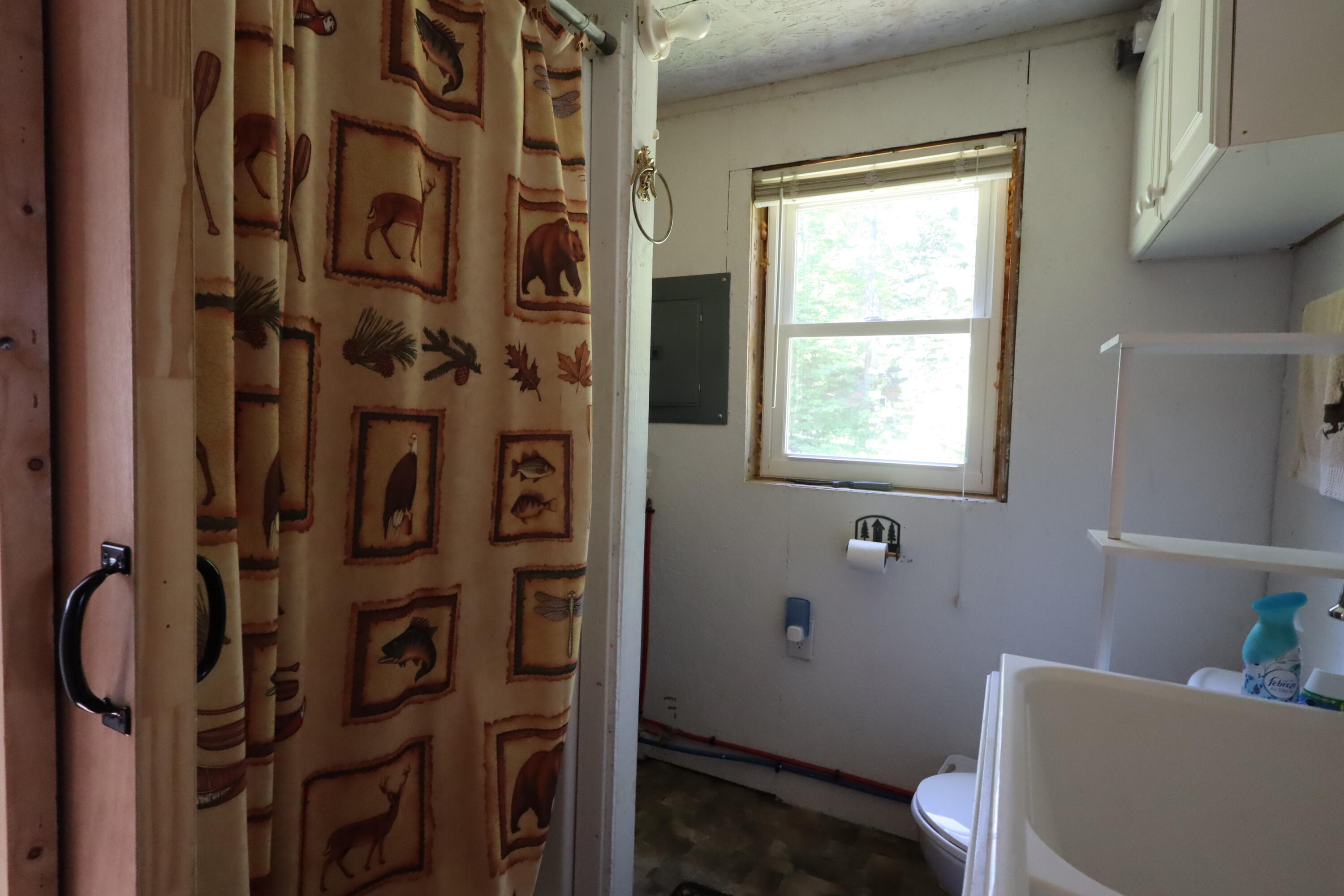 129 Bucknell Road Greenville, ME 04441 - Photo 15 of 27 IMG_2629
