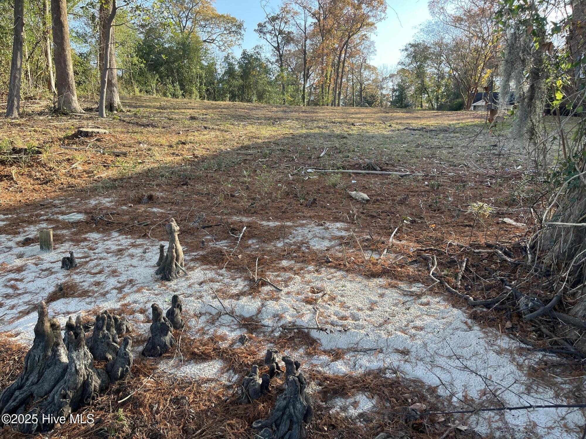 2321 B Chinquapin Road New Bern, NC 28562 - Photo 21 of 22 IMG_3016