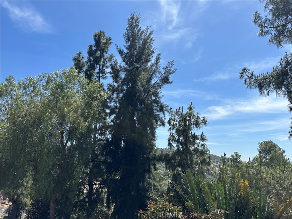1026 Arnold Way Alpine, CA 91901 - Photo 21 of 69