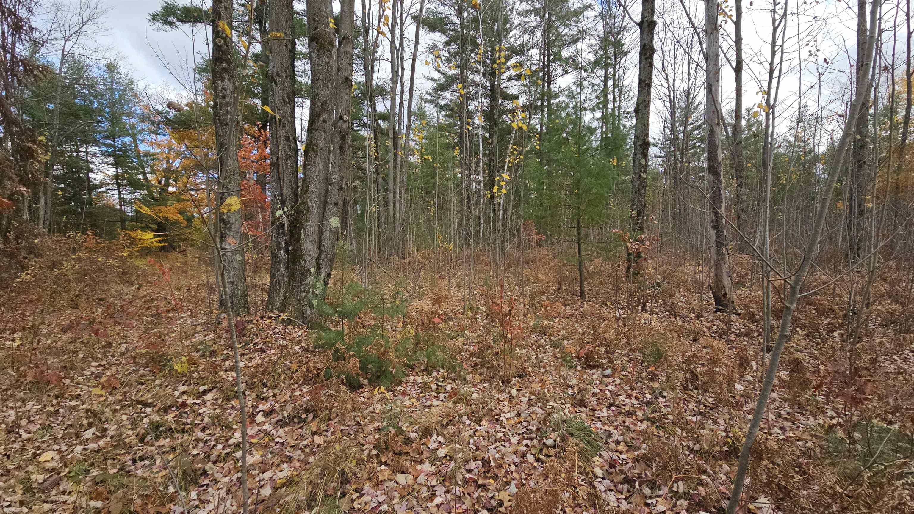 0 South Morrison Road West Branch, MI 48661 - Photo 9 of 9