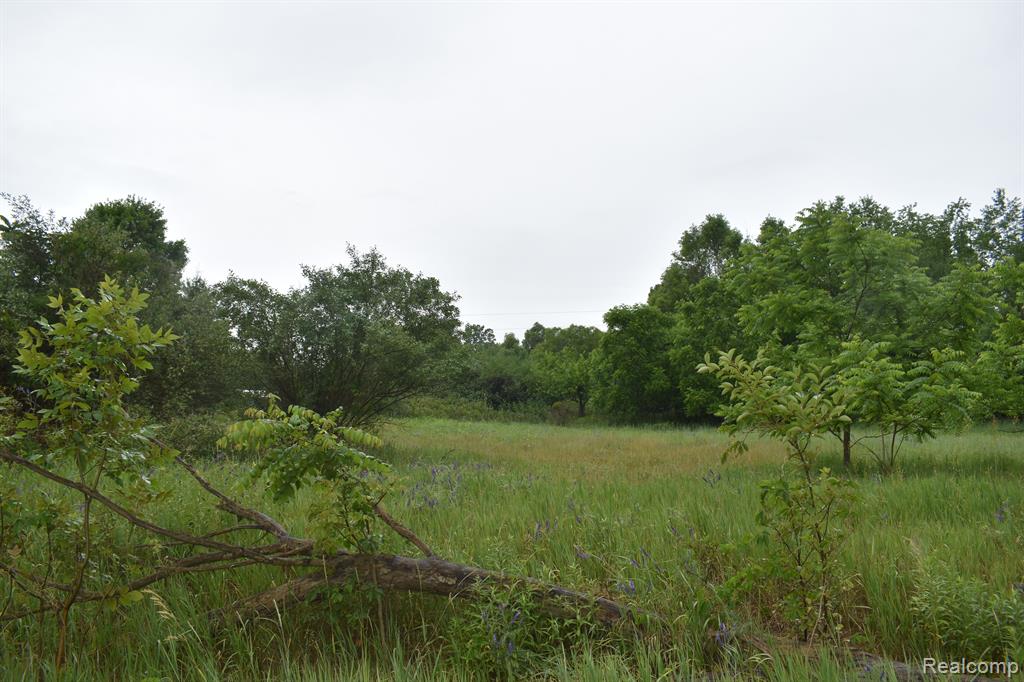 P-c South State Road Perry, MI 48872 - Photo 3 of 3