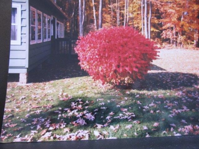 21107 Hampton Road Three Rivers, MI 49093 - Photo 42 of 49 Hampton Road 009