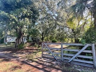 13243 Interlaken Road Odessa, FL 33556 - Photo 3 of 5