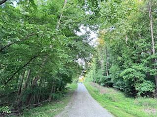 6711 Fernway Road Gibsonville, NC 27249 - Photo 1 of 2 Lot 3 and 4 Street Photo