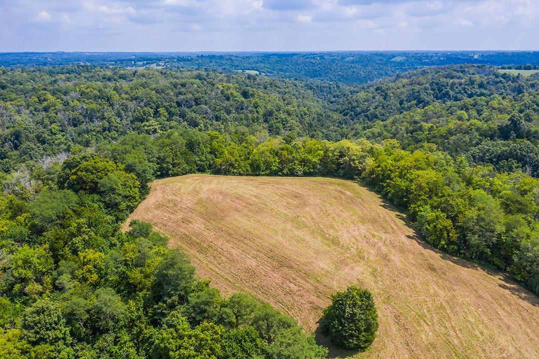1343 Hunters Ferry Road Nicholasville, KY 40356 - Photo 10 of 11 Listing Photo