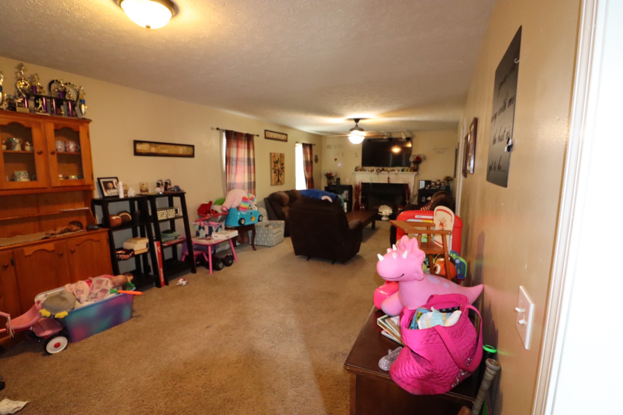 359 Blue Door Road Portland, TN 37148 - Photo 11 of 41 Gallery Image 11