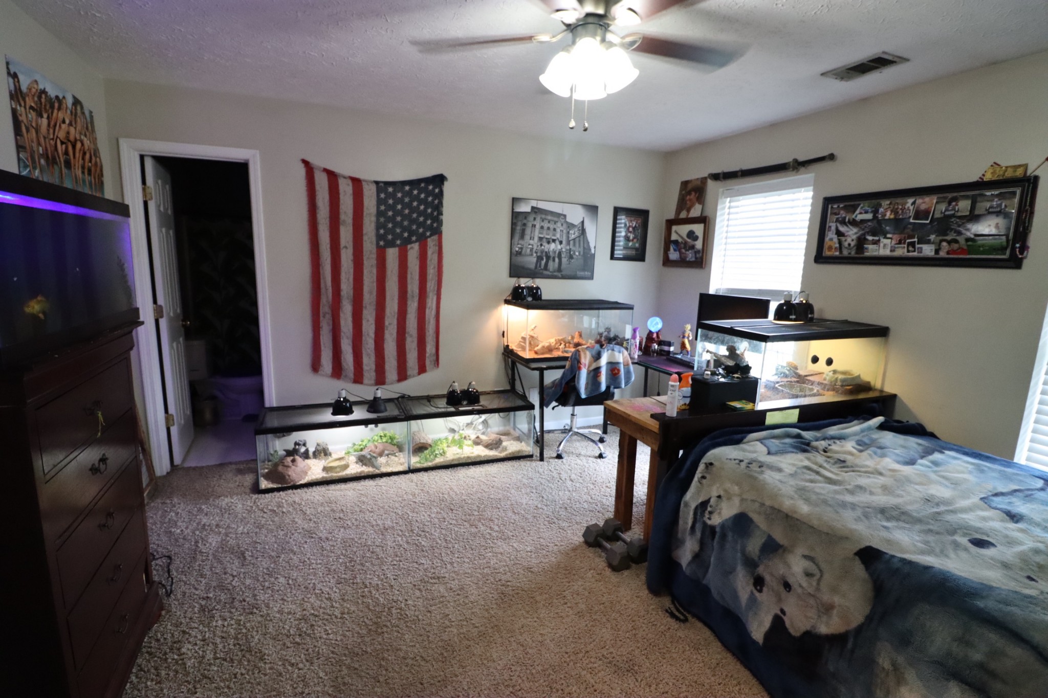 359 Blue Door Road Portland, TN 37148 - Photo 31 of 41 Gallery Image 31