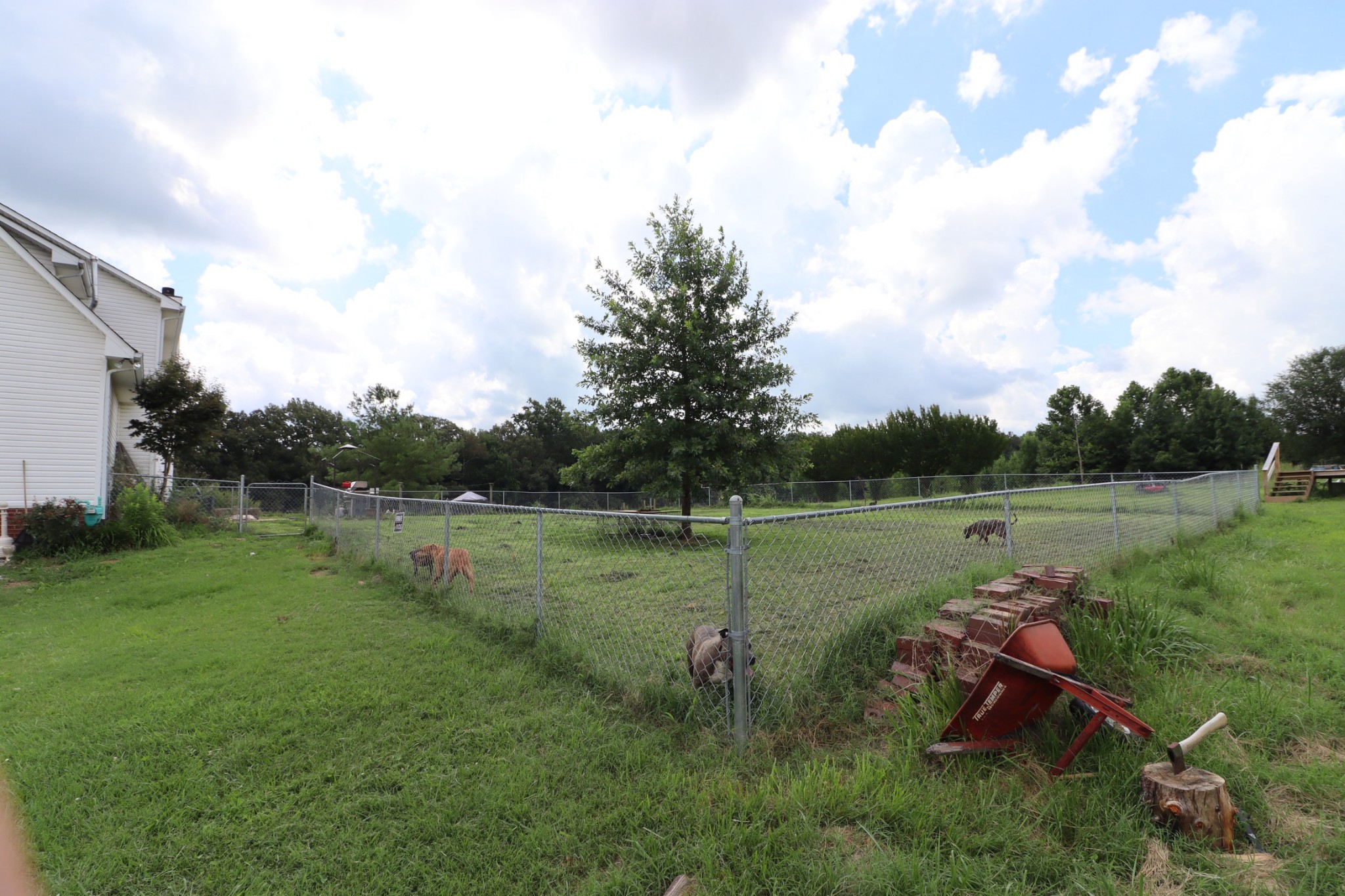 359 Blue Door Road Portland, TN 37148 - Photo 8 of 41 Gallery Image 8