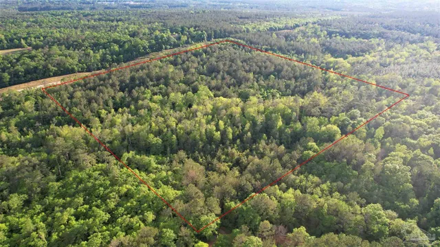 a view of a green field