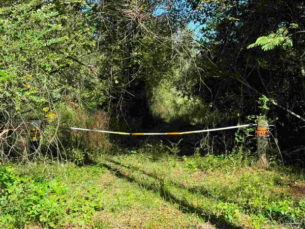 $245,000 | 0 Pleasant Hill Road, Century, FL 32535